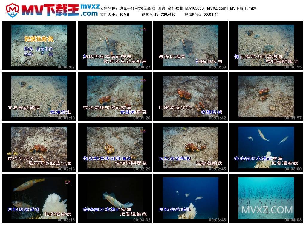 迪克牛仔-把爱还给我_国语_流行歌曲_MA105653